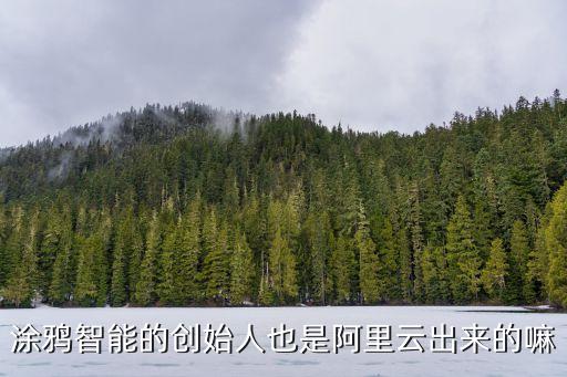 涂鴉智能的創始人也是阿里云出來的嘛