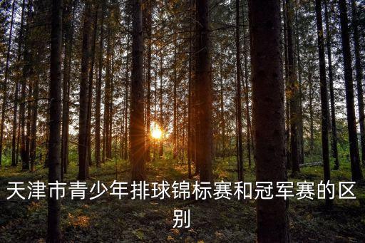 天津市業(yè)余排球聯(lián)賽，天津有沒有打業(yè)余排球的社團