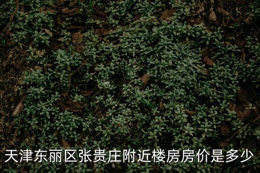 天津東麗區張貴莊附近樓房房價是多少