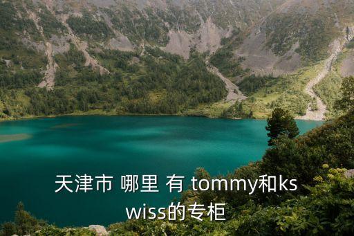 天津市 哪里 有 tommy和kswiss的專柜