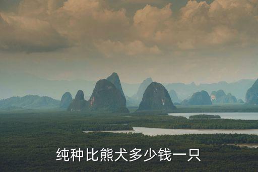 純種比熊犬價格，純種比熊犬多少錢一只