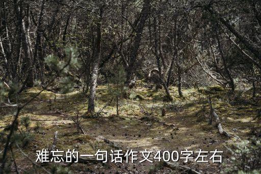 難忘的一句話作文400字左右