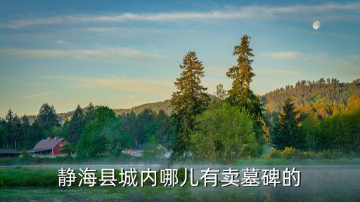 靜海縣城內哪兒有賣墓碑的