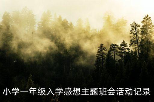 小學(xué)一年級入學(xué)感想主題班會活動記錄