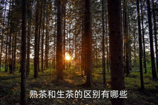 熟茶和生茶的區(qū)別有哪些