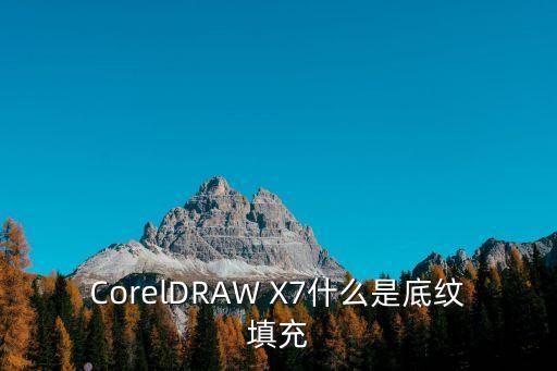 底紋填充，CorelDRAW X7什么是底紋填充