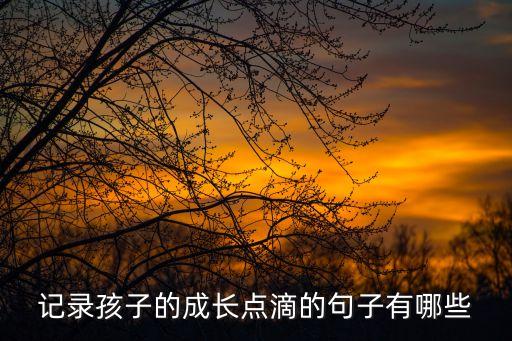記錄孩子的成長點滴的句子有哪些