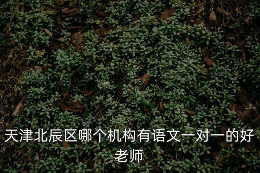 天津市一對一排名，天津家教公司排名誰知道天津一對一家教價格