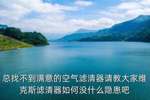 天津市維克斯濾清器，國內比較出名的濾清器廠家請較專業的人士解答能闡述形勢最好