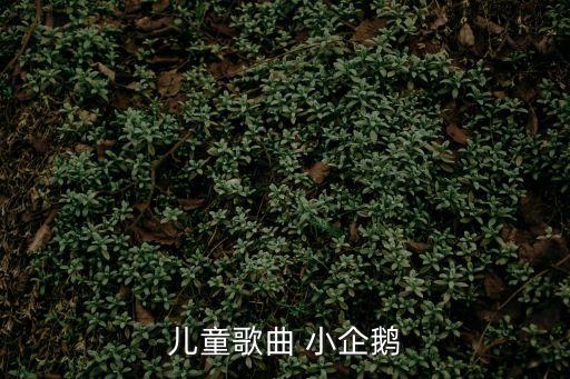 小企鵝，小企鵝是電話嗎是什么意思