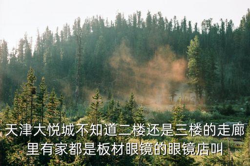 天津大悅城不知道二樓還是三樓的走廊里有家都是板材眼鏡的眼鏡店叫