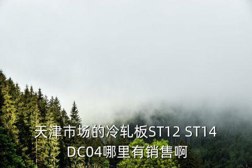 天津市弘晟昊達鋼鐵有限公司，天津市場的冷軋板ST12 ST14 DC04哪里有銷售啊