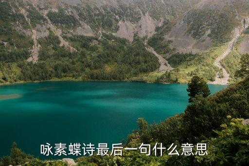 詠素蝶詩最后一句什么意思