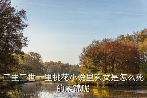 三生三世十里桃花小說里玄女是怎么死的素錦呢