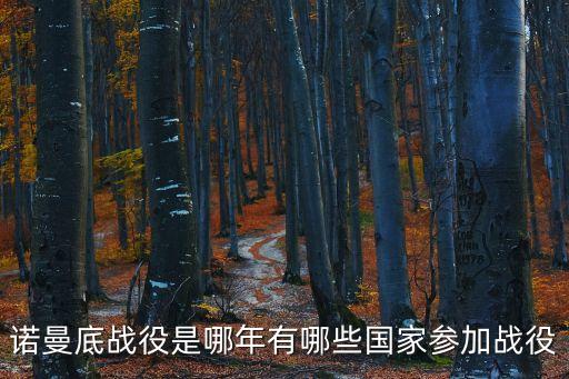 諾曼底戰(zhàn)役是哪年有哪些國家參加戰(zhàn)役