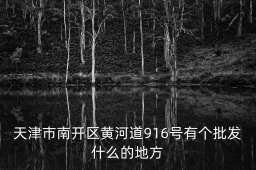天津市南開區黃河道916號有個批發什么的地方