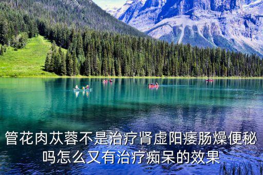 管花肉蓯蓉不是治療腎虛陽痿腸燥便秘嗎怎么又有治療癡呆的效果