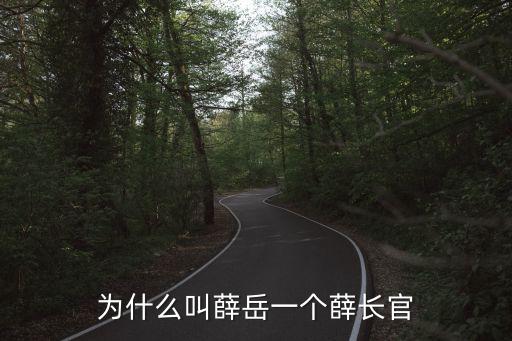 為什么叫薛岳一個薛長官