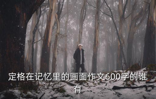 定格在記憶里的畫面作文600字的誰有