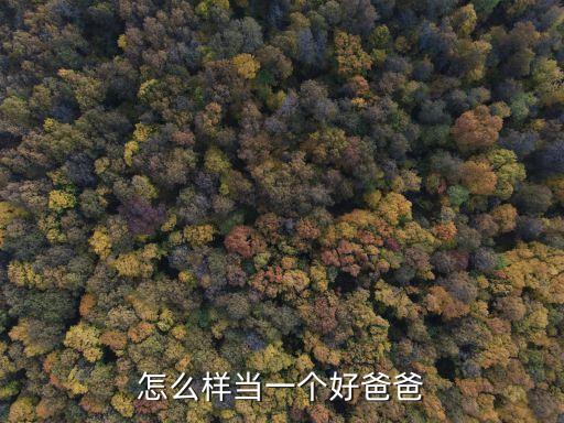 成為好爸爸，怎么才能成為一個好爸爸