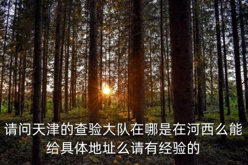 請問天津的查驗大隊在哪是在河西么能給具體地址么請有經驗的