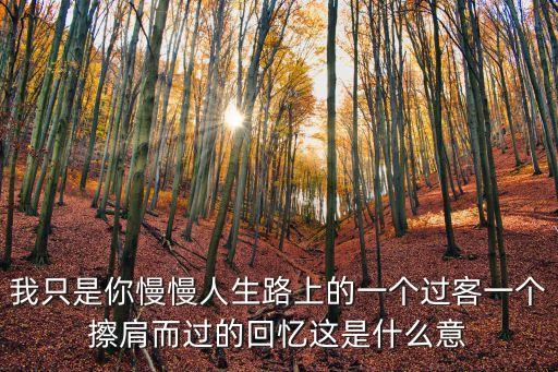 我只是你的過客，原來我只是你的過客用英語怎么翻譯