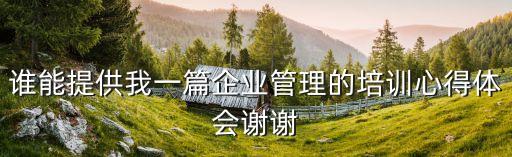 誰能提供我一篇企業管理的培訓心得體會謝謝