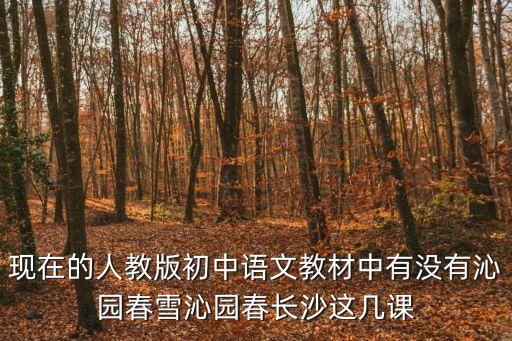 現(xiàn)在的人教版初中語文教材中有沒有沁園春雪沁園春長沙這幾課