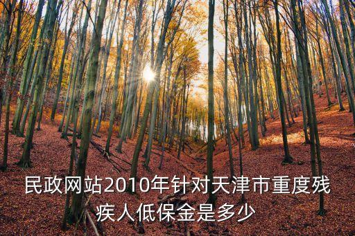 天津市低保人員殘疾補貼標準，民政網站2010年針對天津市重度殘疾人低保金是多少