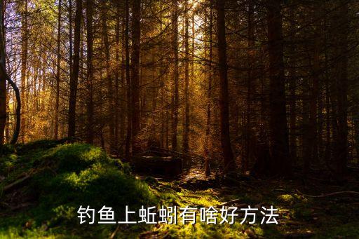 釣魚上蚯蚓有啥好方法