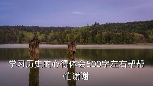 學習歷史的心得體會500字左右幫幫忙謝謝
