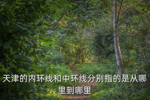 天津的內環線和中環線分別指的是從哪里到哪里