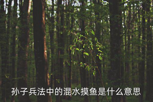 孫子兵法中的混水摸魚是什么意思