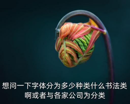 想問一下字體分為多少種類什么書法類啊或者與各家公司為分類
