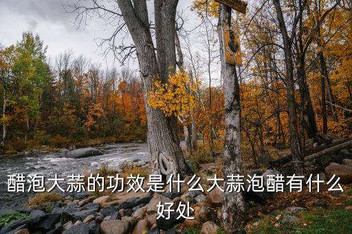 醋泡大蒜的功效是什么大蒜泡醋有什么好處