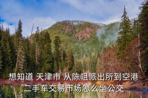 想知道 天津市 從陳咀派出所到空港二手車(chē)交易市場(chǎng)怎么坐公交