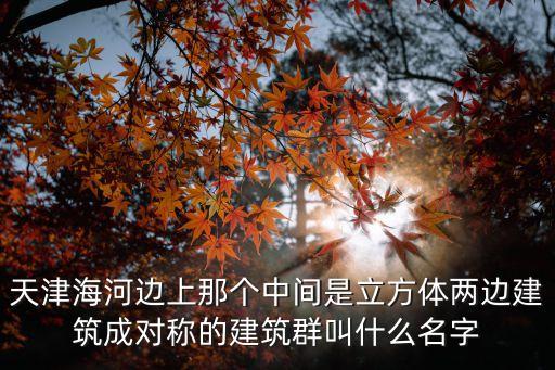 天津海河邊上那個中間是立方體兩邊建筑成對稱的建筑群叫什么名字