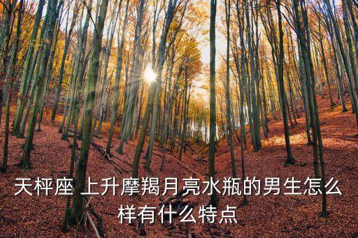 天枰座 上升摩羯月亮水瓶的男生怎么樣有什么特點
