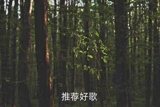 推薦好歌