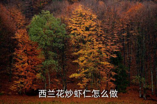西蘭花炒蝦仁怎么做