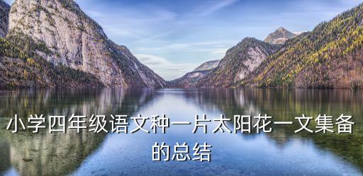 小學四年級語文種一片太陽花一文集備的總結