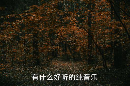 有什么好聽的純音樂