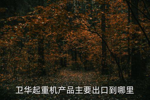 衛華起重機產品主要出口到哪里