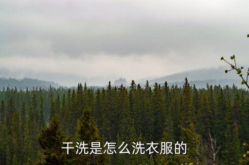 干洗是怎么洗，干洗是怎么洗衣服的