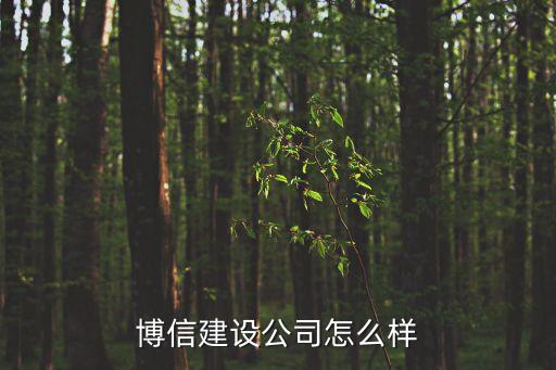 博信建設公司怎么樣