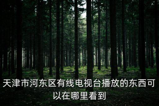 天津市河東區有線電視臺播放的東西可以在哪里看到