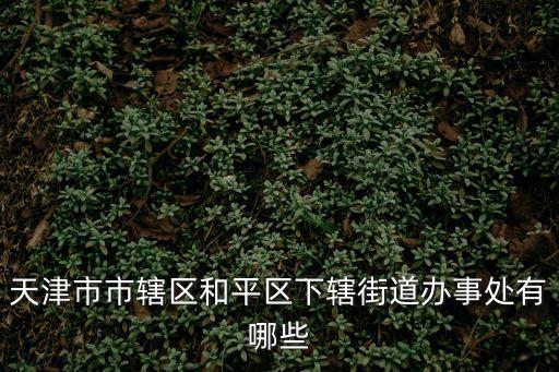 天津市和平區五大道街道辦事處電話，天津和平區地址