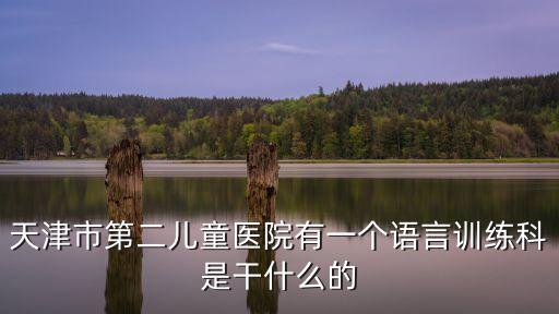 天津市兒童醫(yī)院語言矯正，孩子發(fā)音不對天津有可以進行矯正的機構(gòu)么