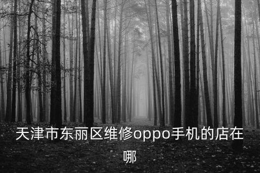 天津市東麗區(qū)大廟子村，天津市東麗區(qū)哪個村好