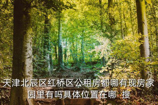 天津北辰區(qū)紅橋區(qū)公租房都哪有現(xiàn)房家園里有嗎具體位置在哪  搜